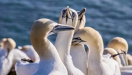 九游正版官网-德甲多支劲旅补强中场，争夺冠军最后冲刺，德甲多支劲旅补强中场,争夺冠军最后冲刺了吗