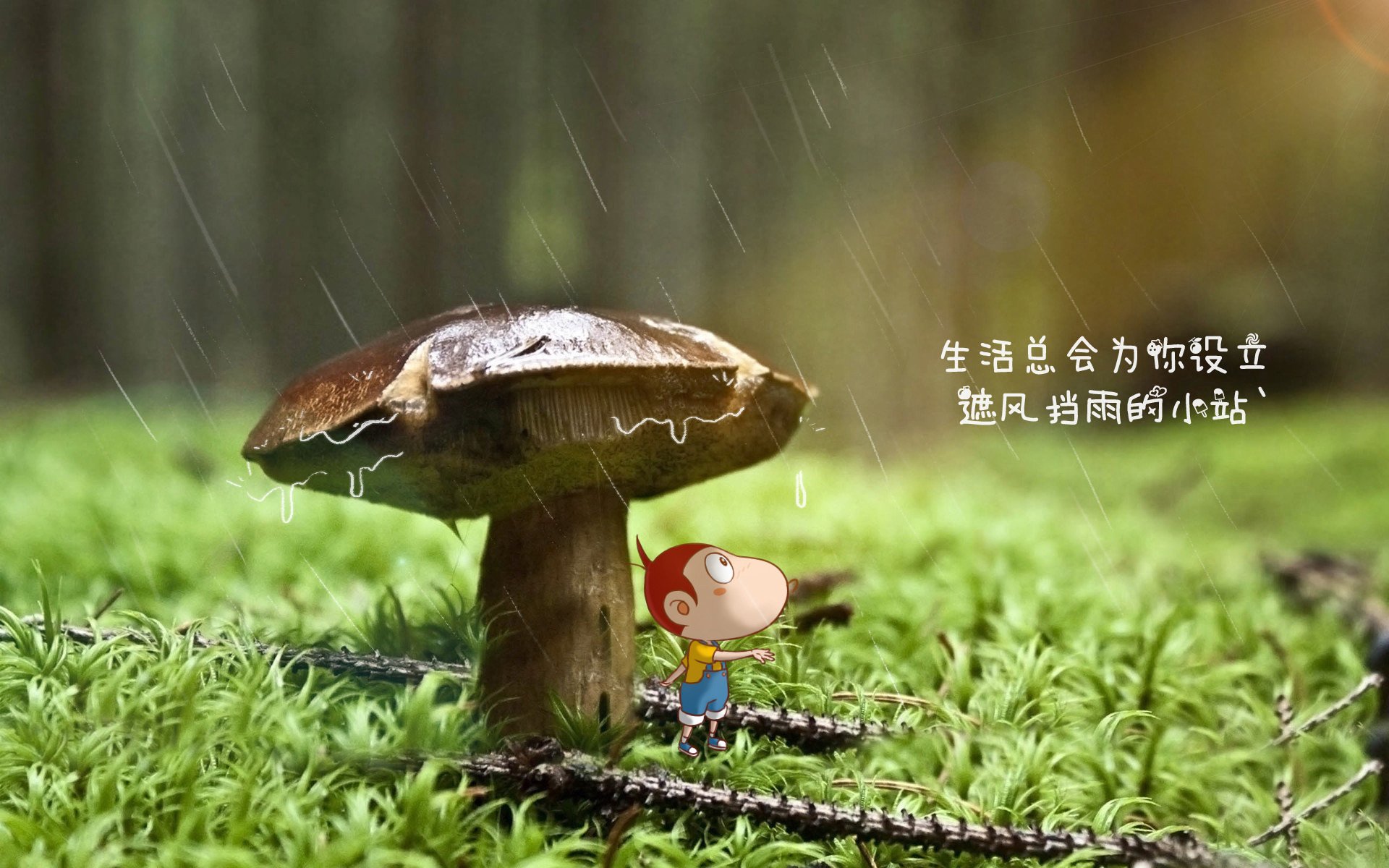 九游网-巴西惊险险胜秘鲁，成功杀入美洲杯四强，美州杯巴西对秘鲁