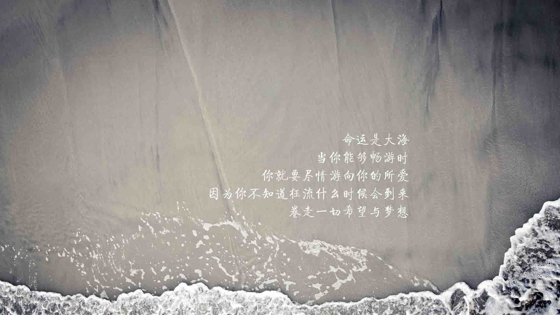 瑞士男足在巴黎奥运会比赛中获得银牌，创历史，瑞士男足名单