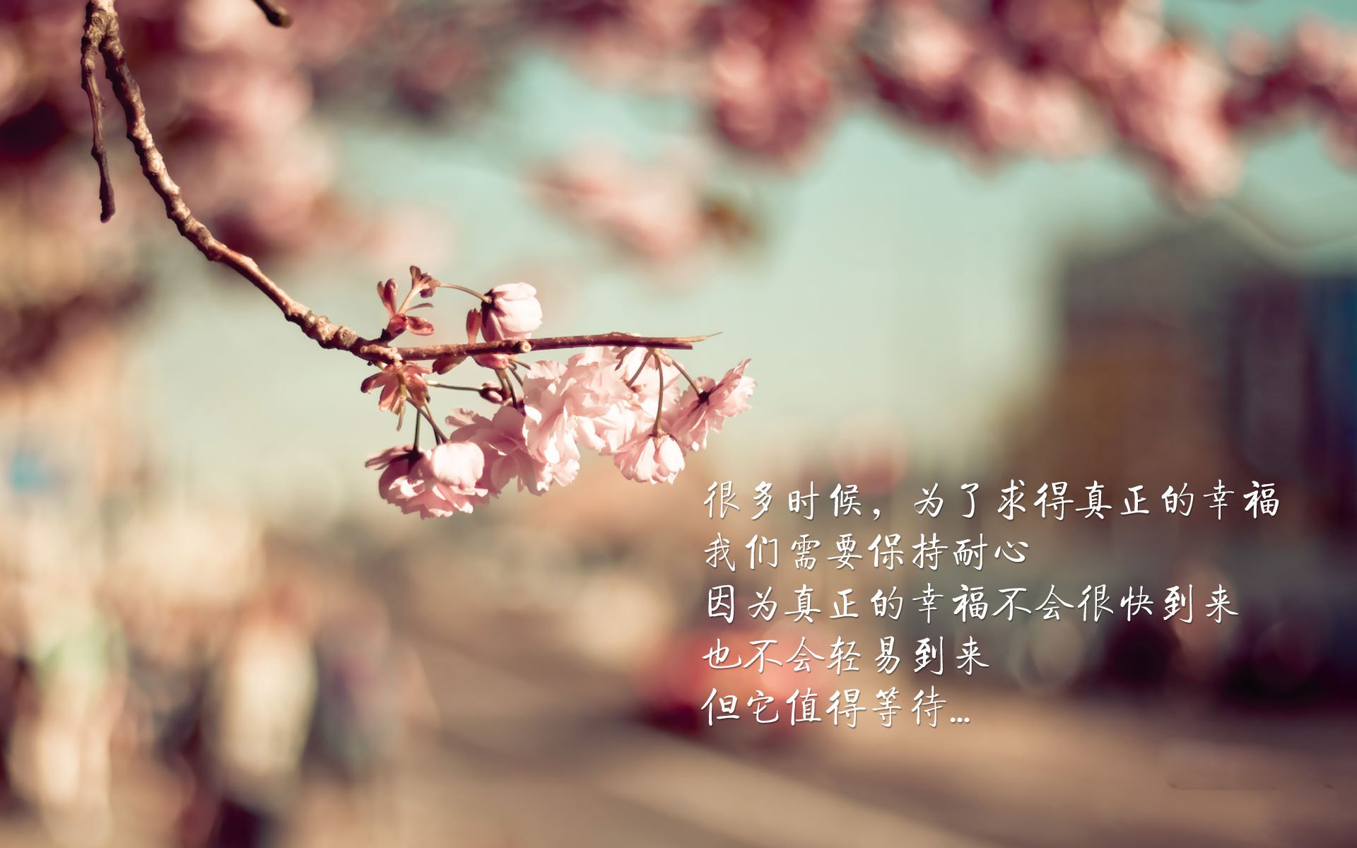 佛罗伦萨三前锋配合打出精彩攻势，佛罗伦萨阵型