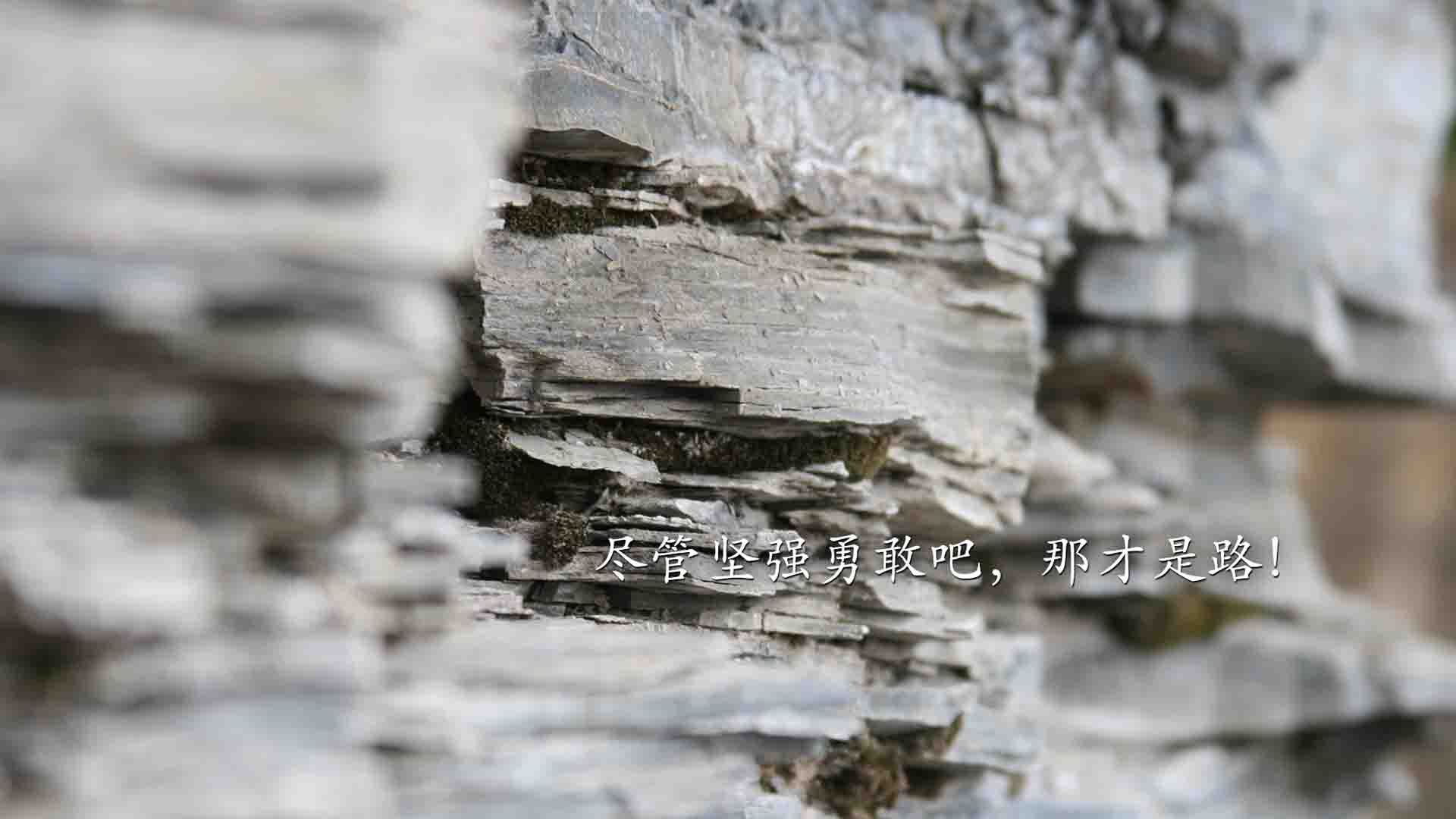 九游官网pc-篮球赛事引入即时战术回放系统，篮球回放挑战