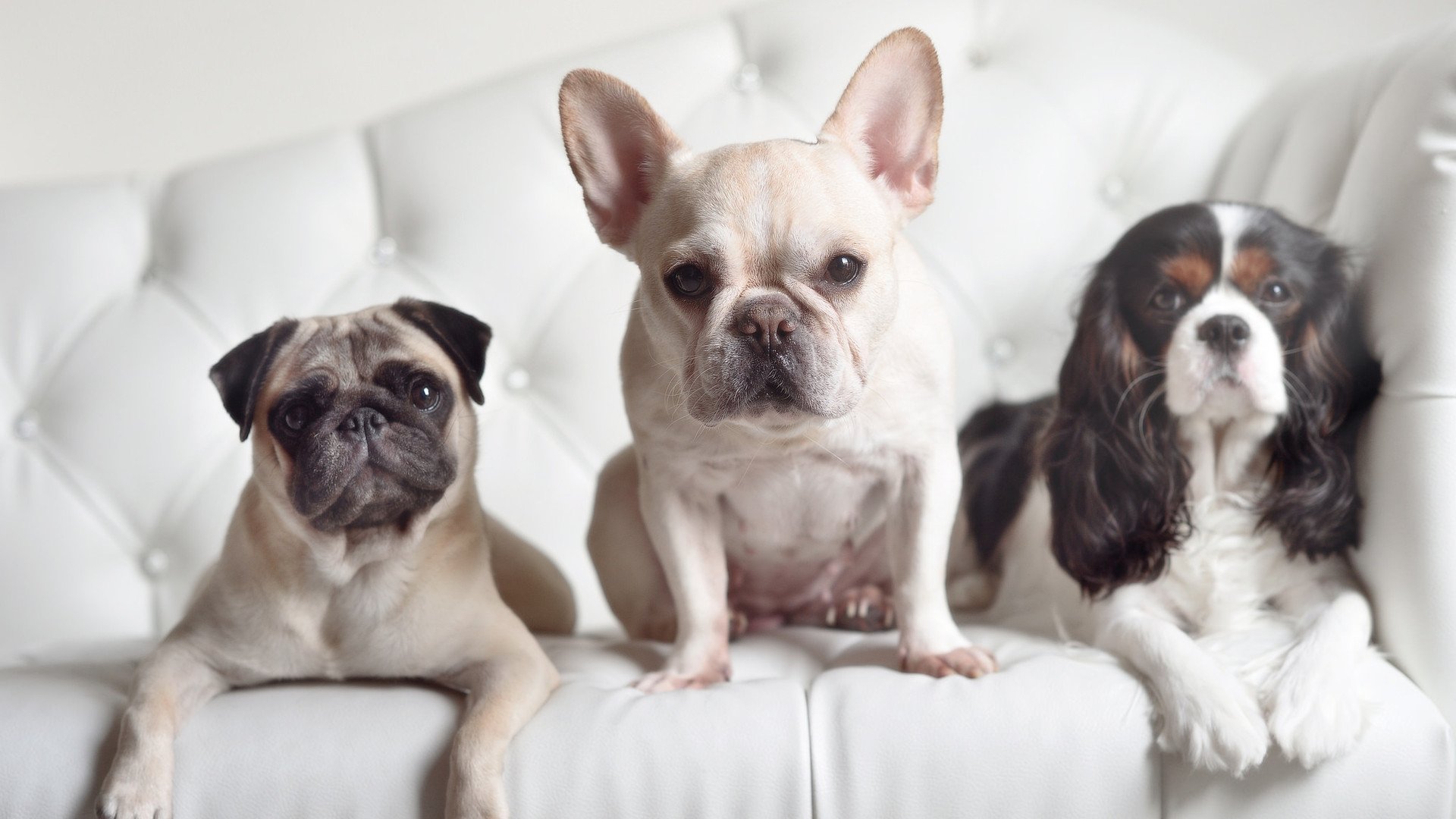 九游娱乐(jiuyou)官方网站-蛙泳选手划幅扩大，技术更加流畅，做好蛙泳划手,让你的速度更上一层楼