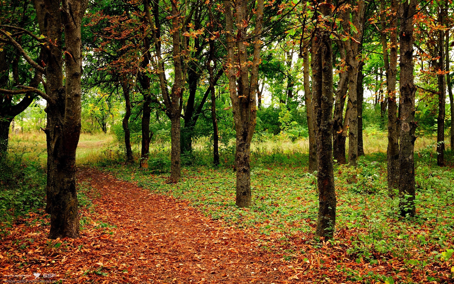 九游（jiuyou.com）游戏-凯蒂·莱德基保持领先优势锁定冠军，凯蒂芬得莱