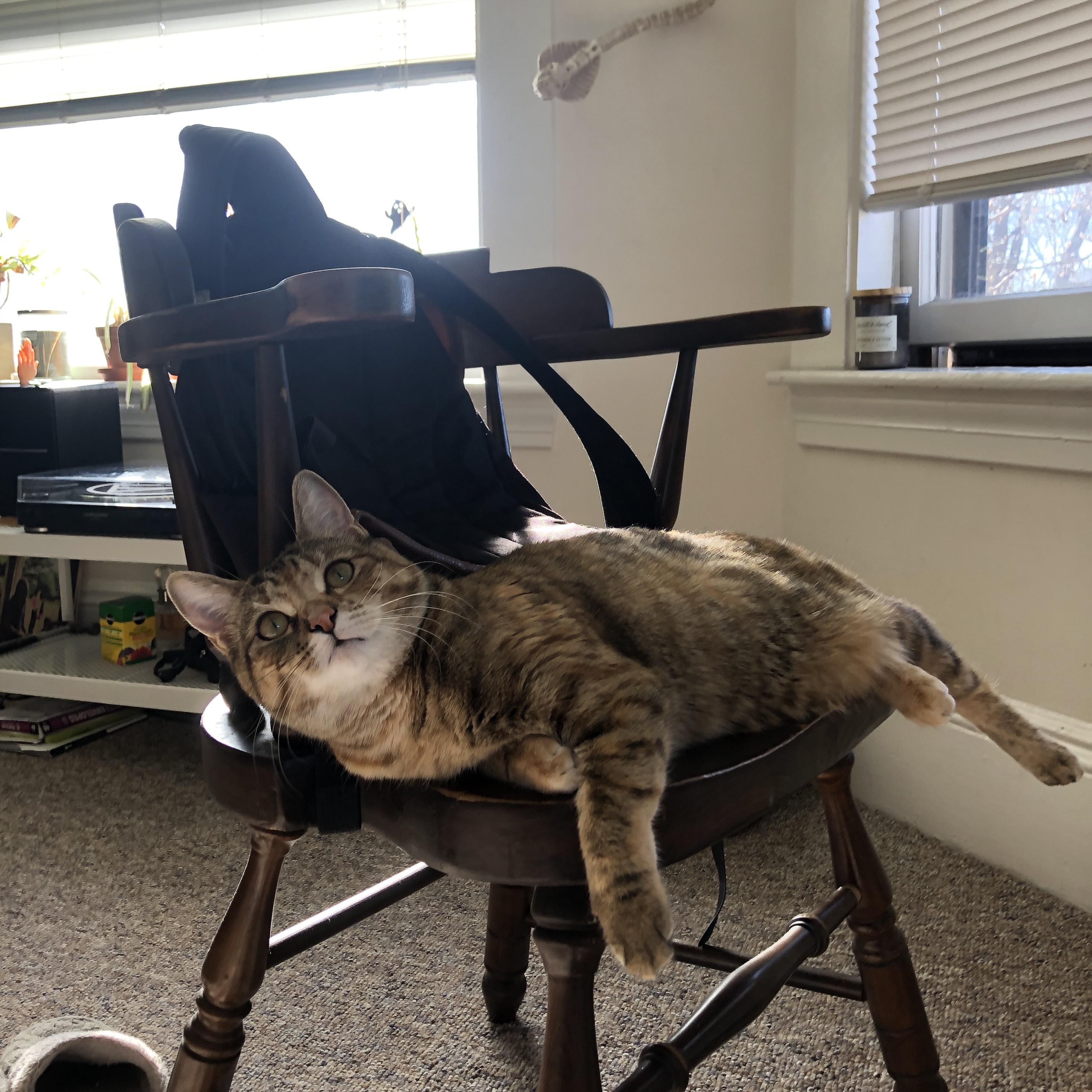 塞维利亚状态火热,争夺欧洲赛场资格